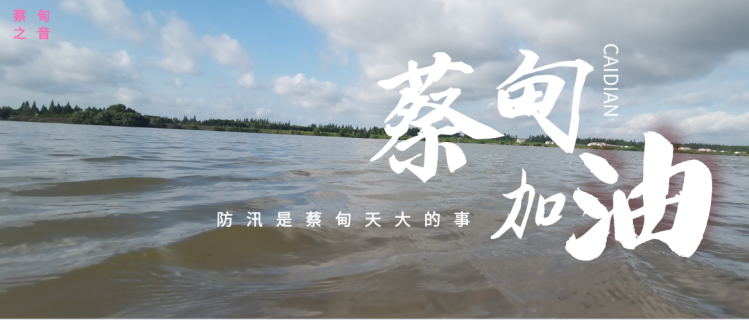 蔡甸區(qū)啟動防汛ⅰ級應急響應，做好鋪土釘防汛木樁工作