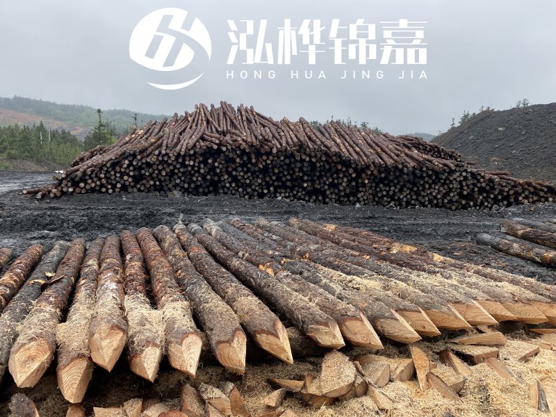 6米長松木樁有哪些作用，多少錢一根？