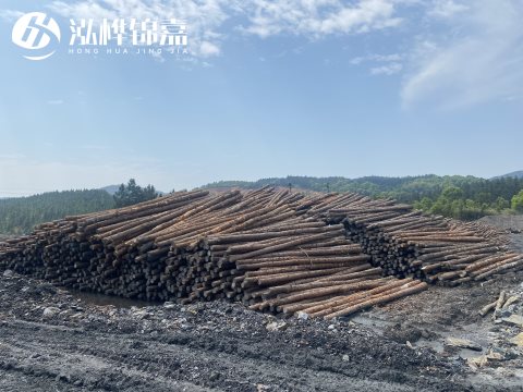 河道打樁為什么選擇松木樁來處理軟地基？-松木樁施工使用范圍