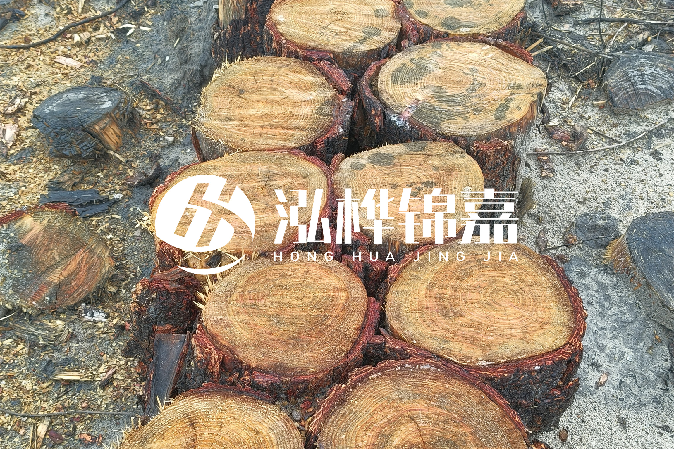 浙江臺(tái)州有清淤的公司嗎？浙江臺(tái)州有清淤施工隊(duì)嗎？