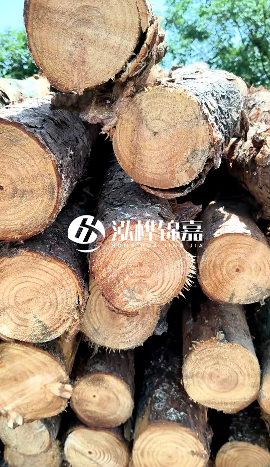 周口挖機打木樁專業(yè)施工-杉木樁施工打樁怎么打？