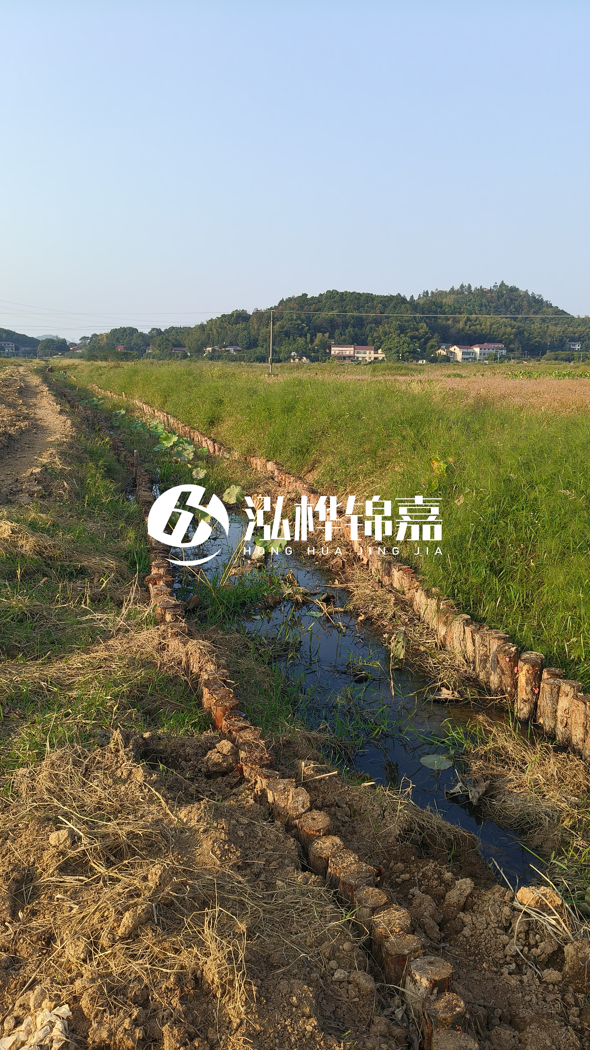 河道護坡打木樁的目的全解析：你知道幾個？