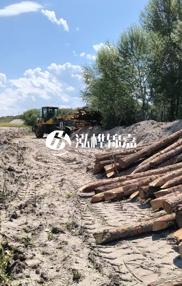 松木樁處理技術(shù)要求是什么-松木樁處理地基間距多少合適呢？