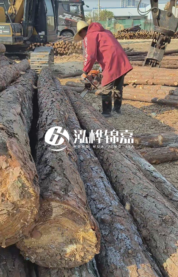 長沙打樁木批發(fā)廠家在哪里？聯(lián)系方式是什么？