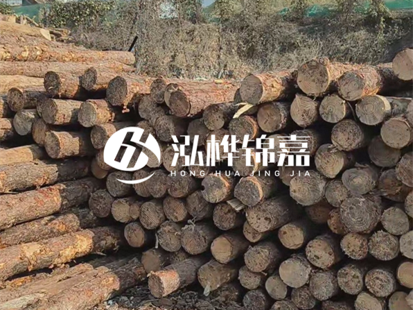 落葉松木材的主要產(chǎn)地在哪里？為什么比其他松木更耐腐蝕？
