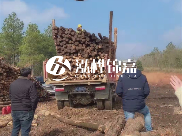 防腐木樁價格比普通木樁貴多少？防腐木樁有哪些處理方式？