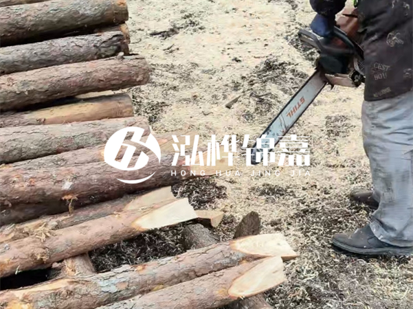 杉木樁批發(fā)廠家哪家好？產(chǎn)地直供渠道推薦！