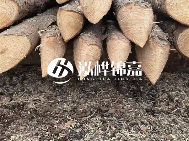 打樁木樁與鋼樁相比有哪些優(yōu)缺點(diǎn)？如何進(jìn)行后期維護(hù)？