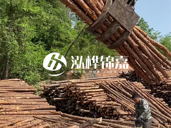 哪里能買到優(yōu)質 3 米松木樁？長沙有松木樁批發(fā)工廠嗎？