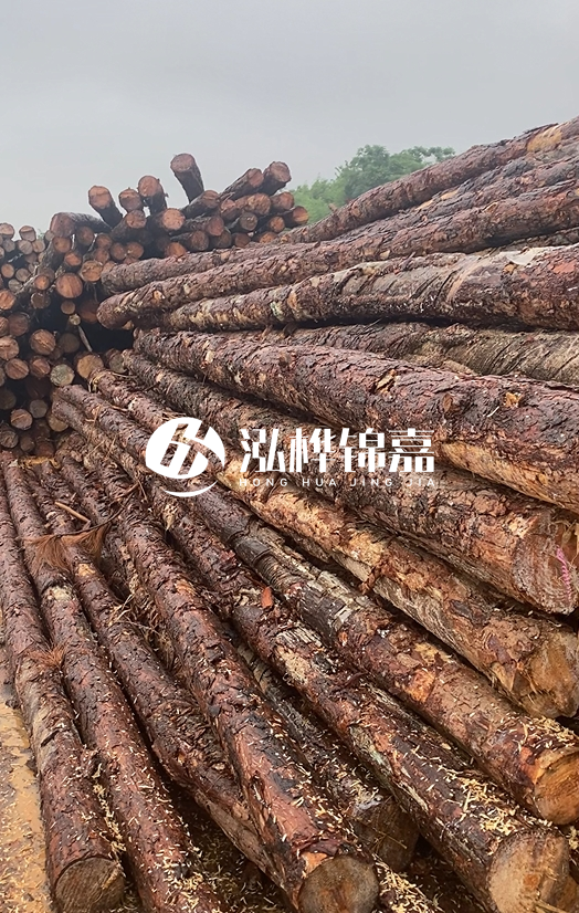 購(gòu)買松木樁注意事項(xiàng)有哪些-不同直徑松木樁區(qū)別有哪些？