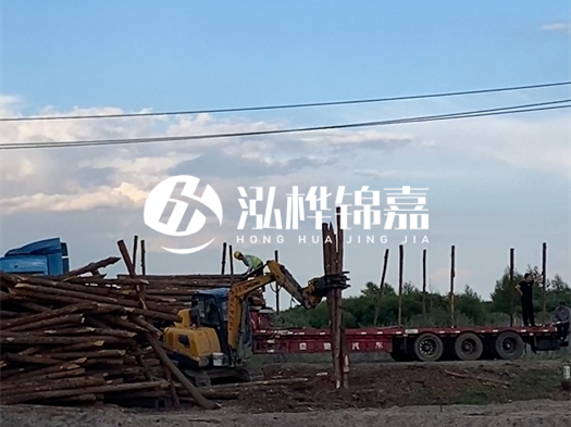 河北打樁木源頭廠家泓樺錦嘉 - 北方常用打樁木是什么？