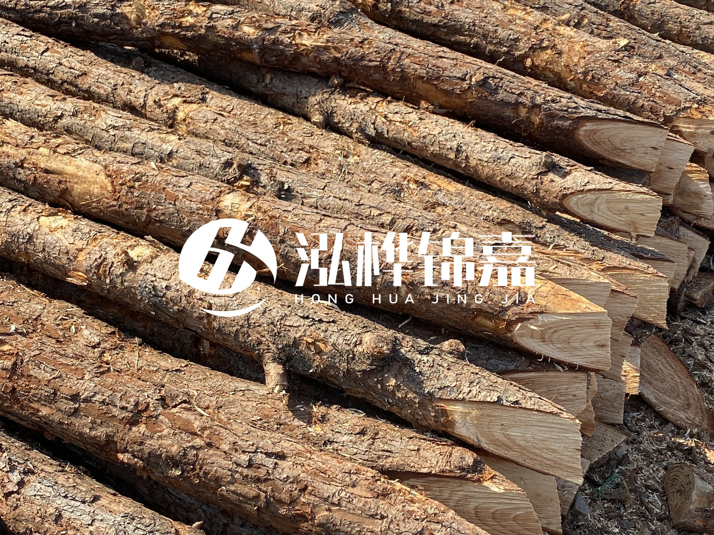 8 米超大直徑松木樁的價格是多少？帶皮和去皮松木樁價格差多少？