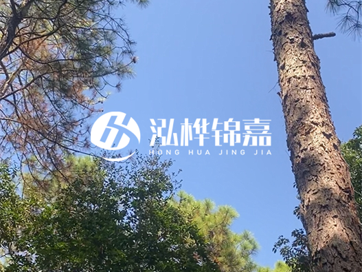 松木樁廠家泓樺錦嘉可以實(shí)地考察嗎？需要提前預(yù)約嗎？