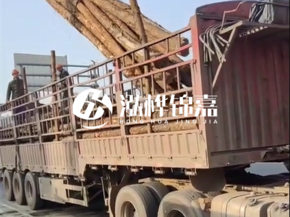 4米長(zhǎng)杉木10公分價(jià)格-4.5米直徑15cm 杉木多少錢？