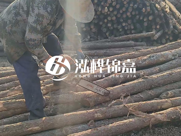 廣東打樁木源頭廠家泓樺錦嘉 - 如何選擇適合特定邊坡的松木樁？