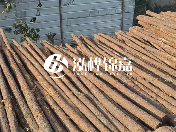 松木樁打樁后清淤怎么處理？有沒有全包的公司？