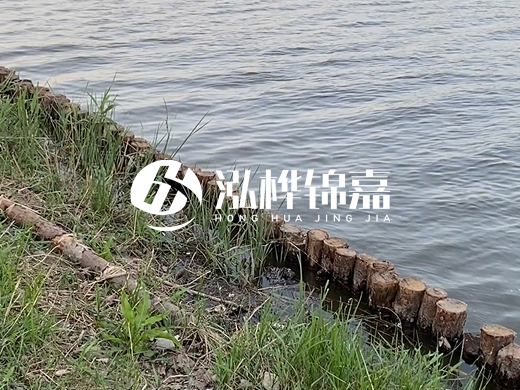 防洪松木樁施工重要性？河道打木樁的位置怎么確定？