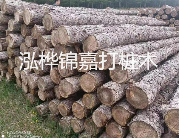 高效修補(bǔ)，保駕護(hù)航！水泥路面高強(qiáng)度修補(bǔ)料為您解決煩惱！