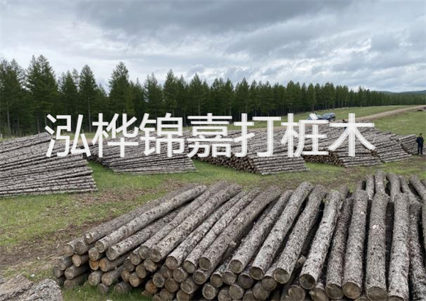 鋼結(jié)構(gòu)施工方案大全免費(fèi)提供，助力工程建設(shè)