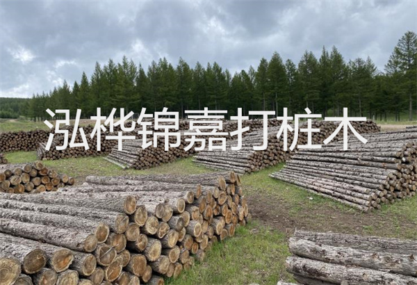 預(yù)制松木樁施工工藝：優(yōu)質(zhì)材料，高效快速，堅(jiān)固耐用