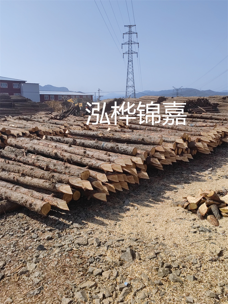 深入了解松木樁基礎(chǔ)施工單價，助力工程建設(shè)順利進行！
