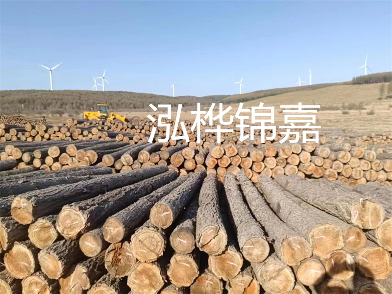溫州松木樁施工廠家——為您打造堅(jiān)固穩(wěn)定的建筑基礎(chǔ)！