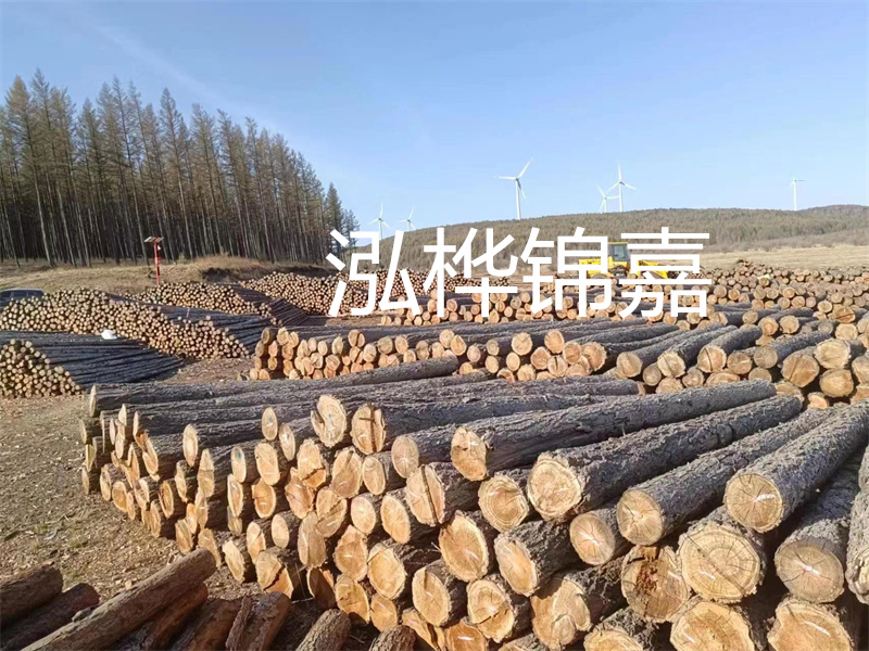 用路基松木樁施工方案提升工程質(zhì)量描述：了解路基松木樁施工方案的重要性，提高工程質(zhì)量關(guān)鍵詞：路基松木樁，施工方案，工程質(zhì)量