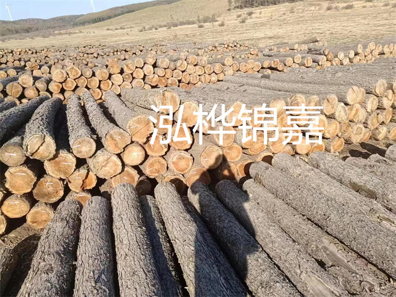 選擇合適的路緣石尺寸，打造美麗道路