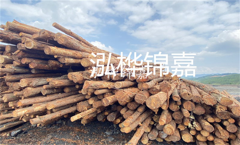 濮陽松木樁，卓越品質(zhì)，安全可靠