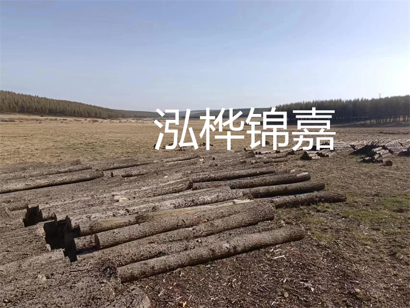 鄂州松木樁哪里好？推薦泓樺錦嘉松木樁業(yè)！